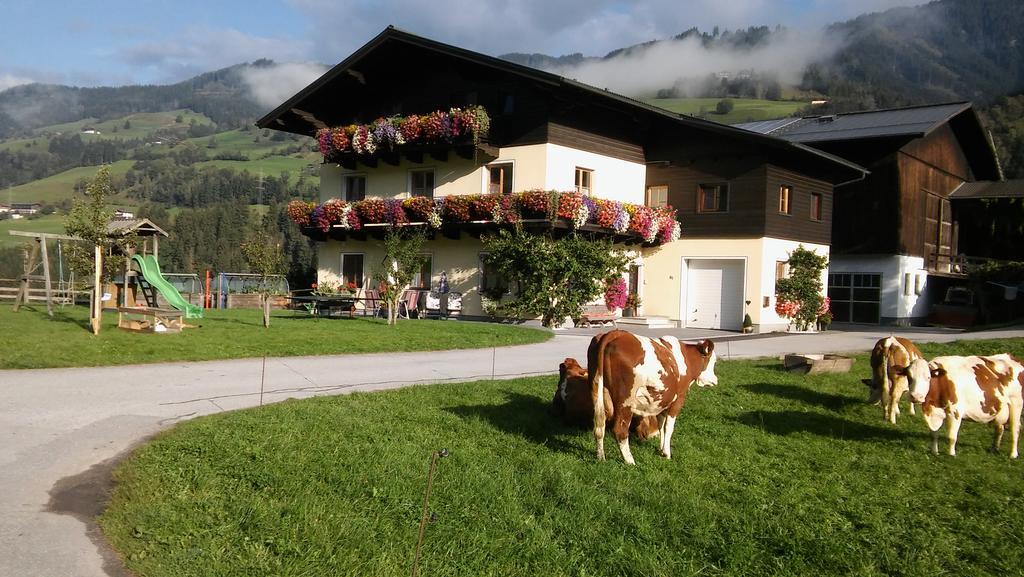 Farm stay Rieserhof/fam. Meissnitzer
