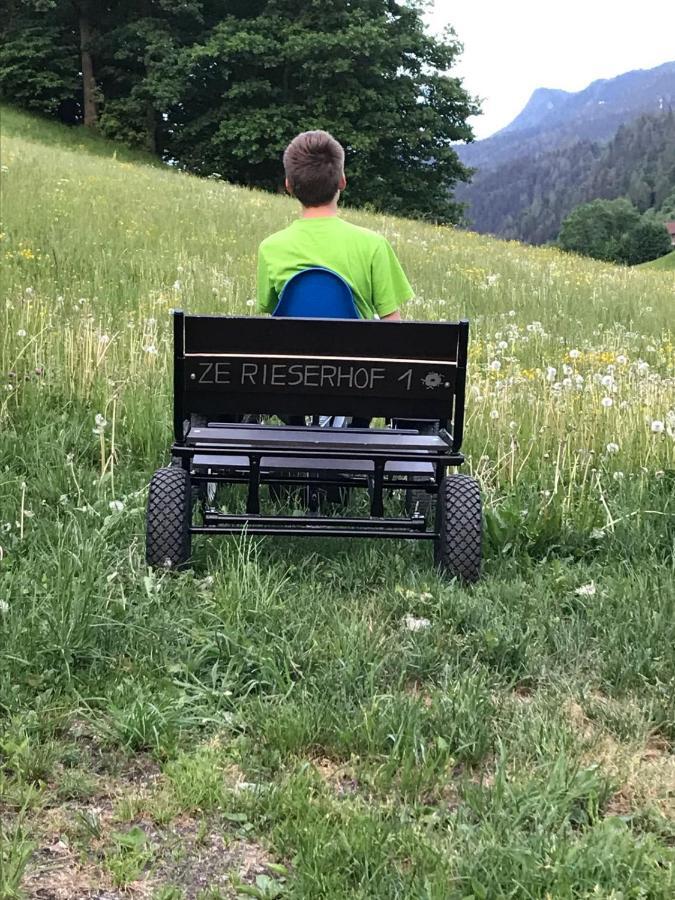Farm stay Rieserhof/fam. Meissnitzer Taxenbach